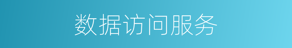 数据访问服务的同义词