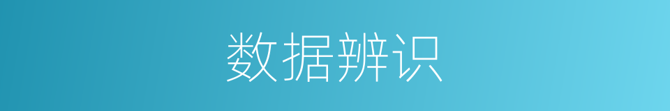 数据辨识的同义词