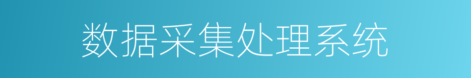 数据采集处理系统的同义词