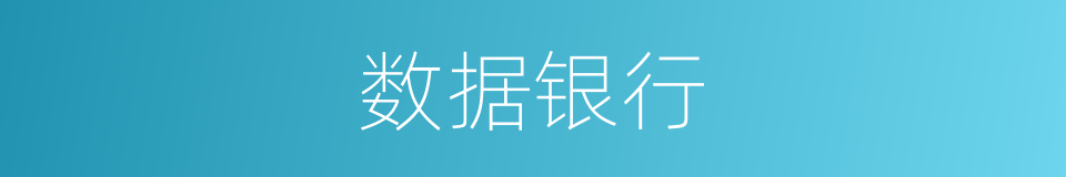 数据银行的同义词