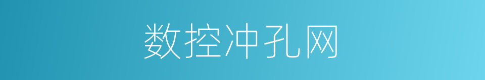 数控冲孔网的同义词