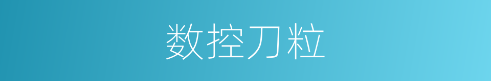 数控刀粒的同义词