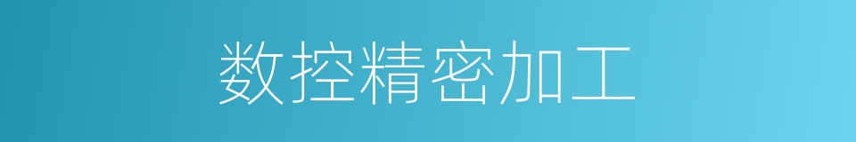 数控精密加工的同义词