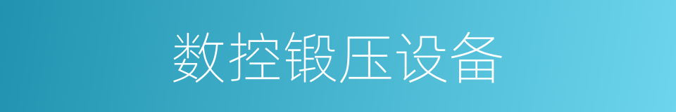 数控锻压设备的同义词