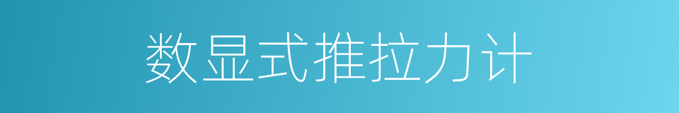 数显式推拉力计的同义词