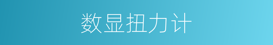 数显扭力计的同义词