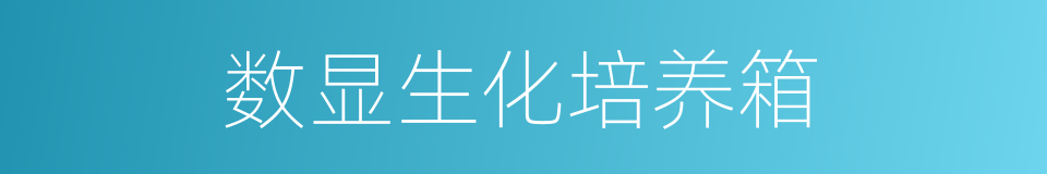 数显生化培养箱的同义词