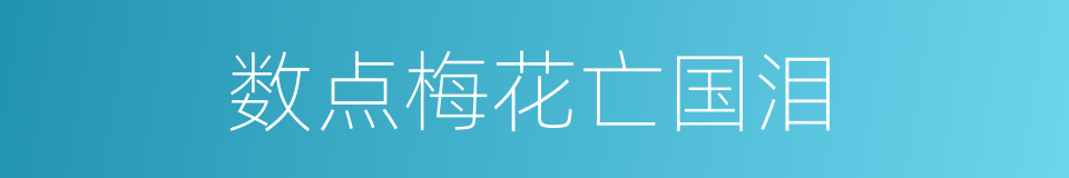 数点梅花亡国泪的同义词