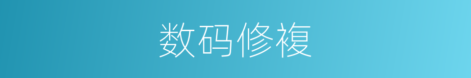 数码修複的同义词