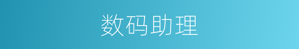数码助理的同义词