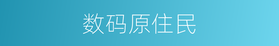 数码原住民的同义词