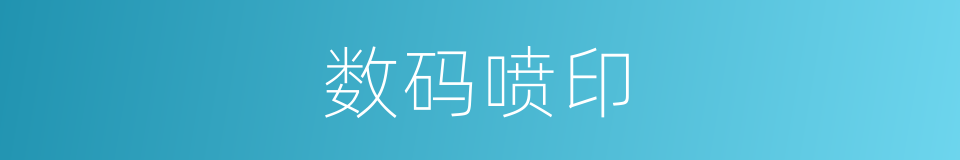 数码喷印的同义词