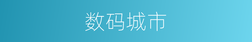 数码城市的同义词