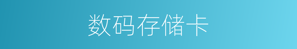 数码存储卡的同义词