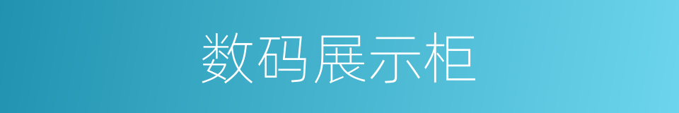 数码展示柜的同义词