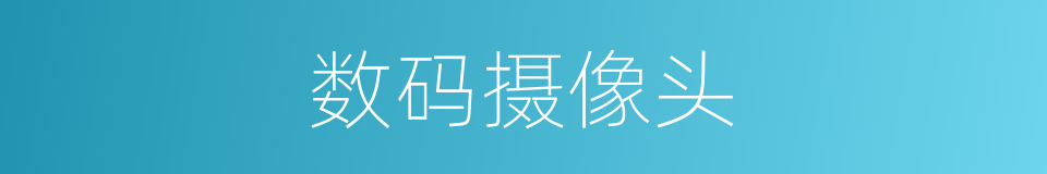 数码摄像头的同义词