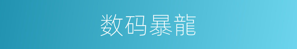 数码暴龍的同義詞