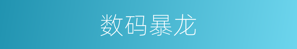 数码暴龙的同义词
