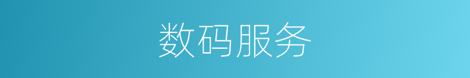 数码服务的同义词