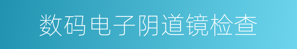 数码电子阴道镜检查的同义词