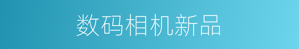 数码相机新品的同义词