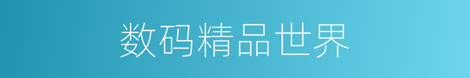 数码精品世界的同义词
