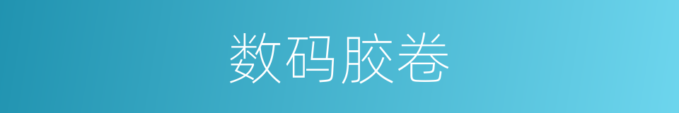 数码胶卷的同义词