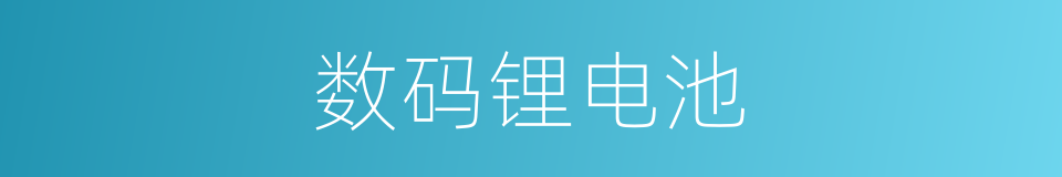 数码锂电池的同义词