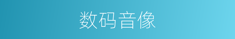 数码音像的同义词