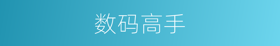 数码高手的同义词