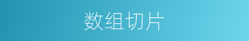 数组切片的同义词