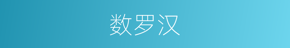 数罗汉的同义词