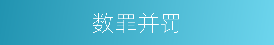 数罪并罚的意思