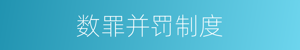 数罪并罚制度的同义词