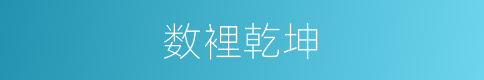 数裡乾坤的同义词