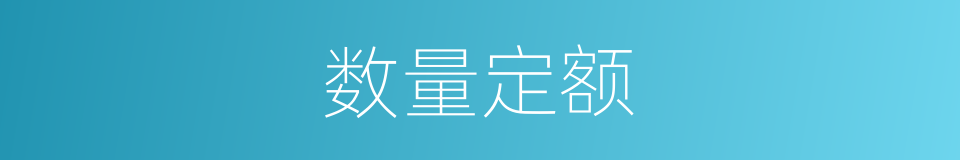 数量定额的同义词
