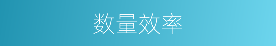 数量效率的同义词