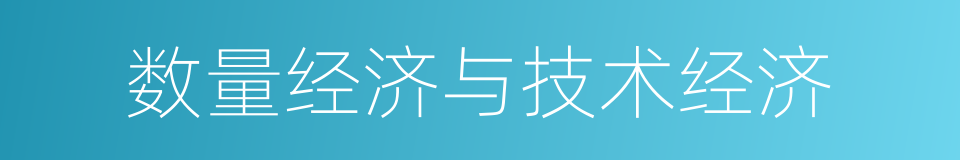 数量经济与技术经济的同义词