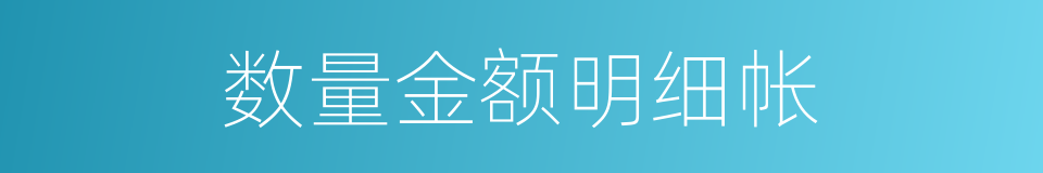 数量金额明细帐的同义词
