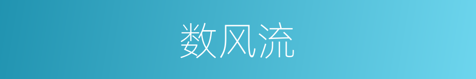 数风流的同义词