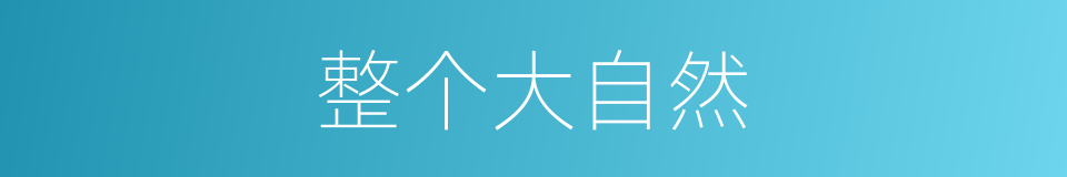 整个大自然的同义词