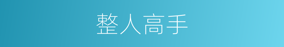 整人高手的同义词