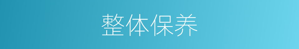 整体保养的同义词