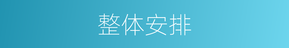 整体安排的同义词