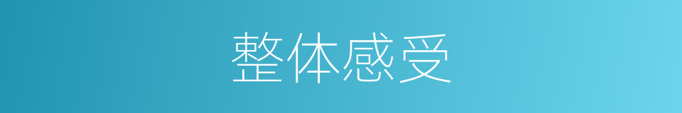 整体感受的同义词