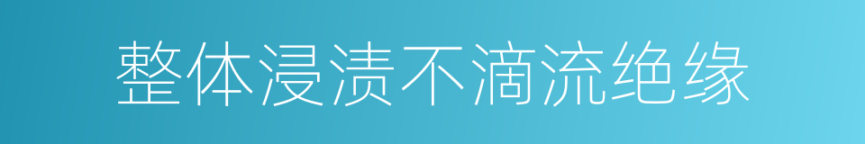 整体浸渍不滴流绝缘的同义词