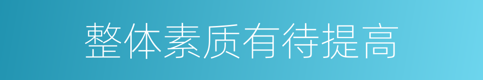 整体素质有待提高的同义词
