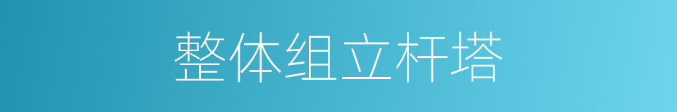 整体组立杆塔的同义词
