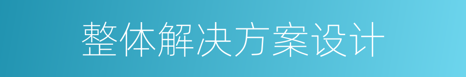 整体解决方案设计的同义词