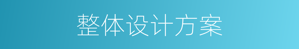 整体设计方案的同义词